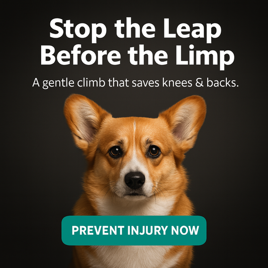 Ramp Training Manual (+5 SECRETS VETERINARIANS DON'T WANT YOU TO KNOW)